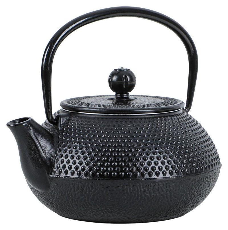 ALGHAFA Japanese Gast iron teapot, 300 ml, for trips, camping - Image 1