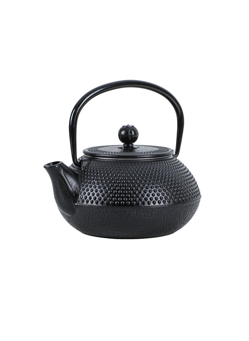 ALGhafa, Japanese Gast iron teapot, 300 ml, for trips, camping - pzsku/ZBAFD9DB4FE428E01ECDEZ/45/_/1732969486/d68ee2a4-59f6-414f-b854-750058ae094c