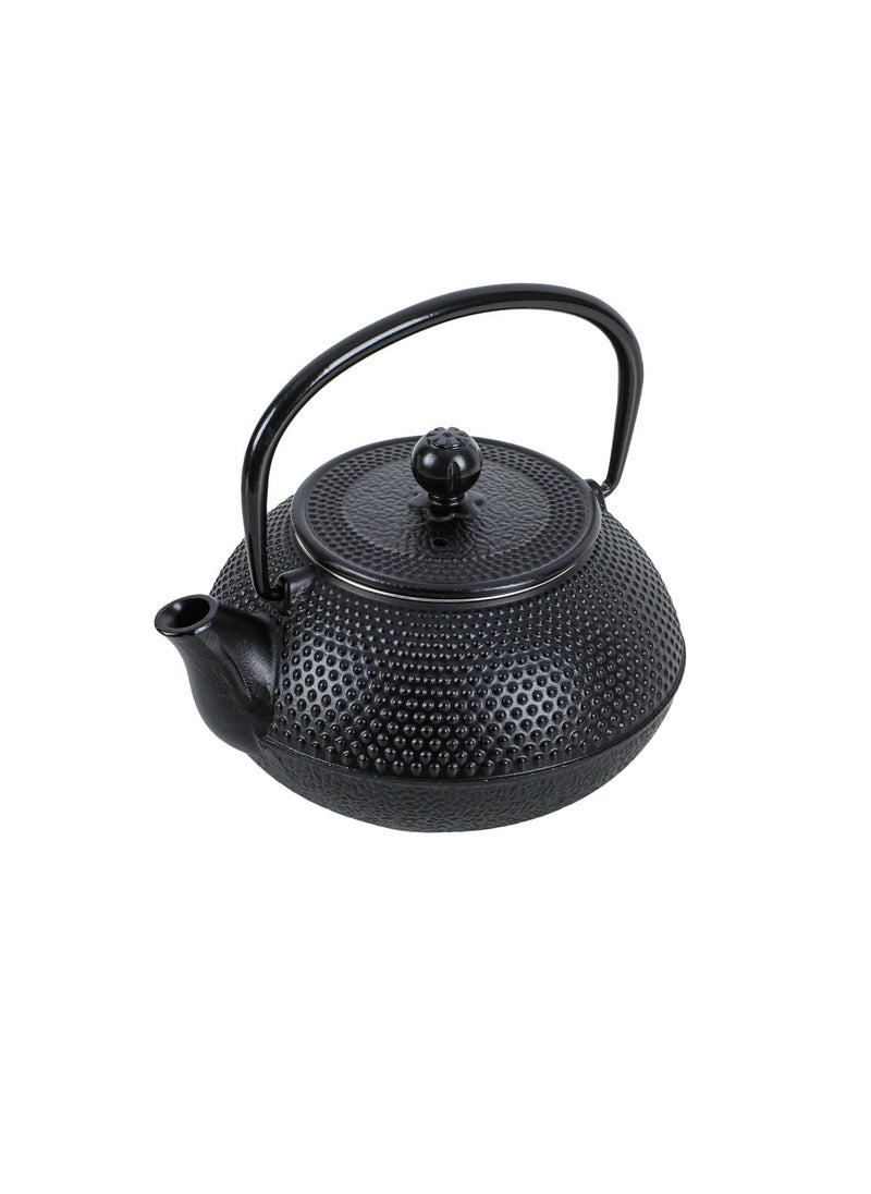 ALGhafa, Japanese Gast iron teapot, 300 ml, for trips, camping - pzsku/ZBAFD9DB4FE428E01ECDEZ/45/_/1732969496/392aae7f-20e7-4750-9066-8dda46fcb19a