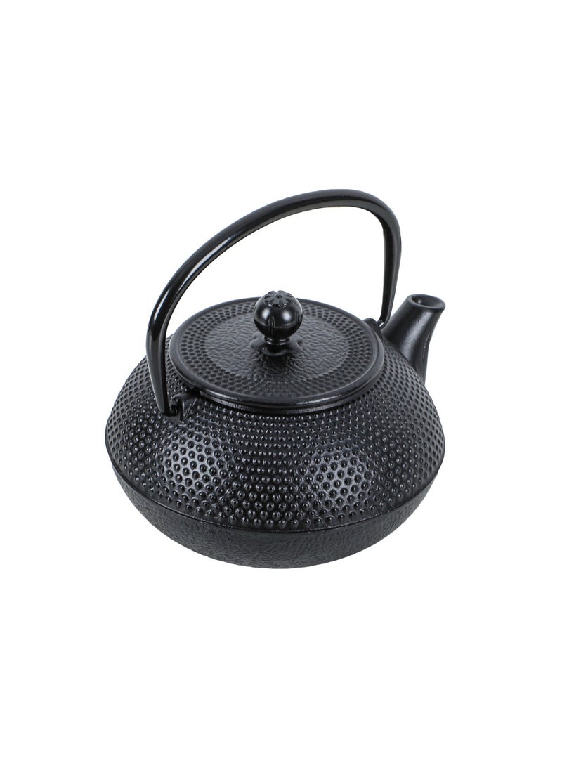 ALGhafa, Japanese Gast iron teapot, 300 ml, for trips, camping - pzsku/ZBAFD9DB4FE428E01ECDEZ/45/_/1732969497/d4cf3012-0e51-4bb4-8a96-80f37e47d29d