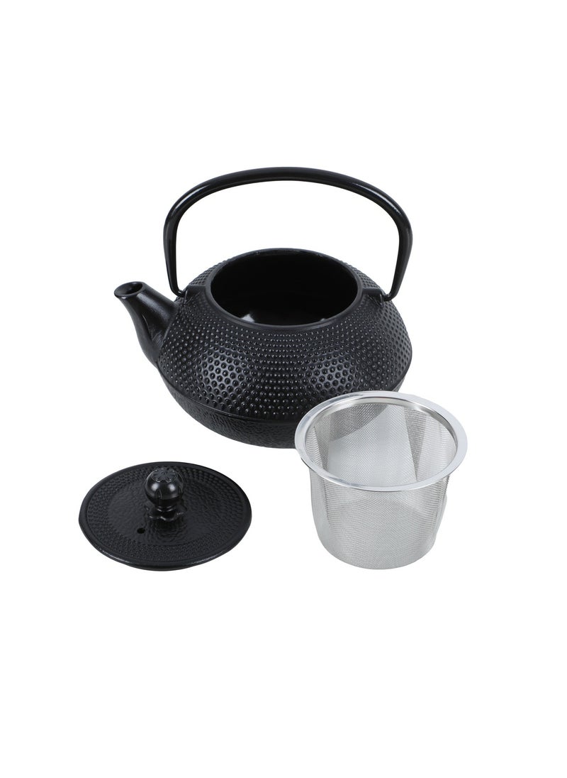 ALGhafa, Japanese Gast iron teapot, 300 ml, for trips, camping - pzsku/ZBAFD9DB4FE428E01ECDEZ/45/_/1732969506/4777003a-b412-4e31-bdcf-697b78f606da