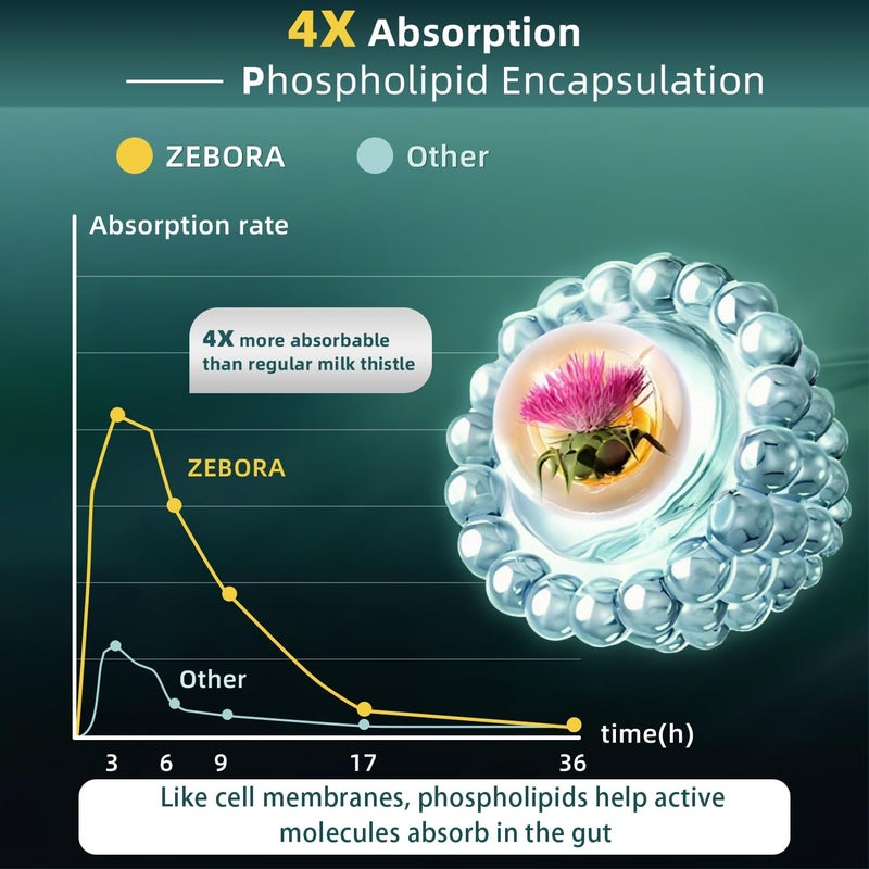 ZEBORA Milk Thistle Supplement for Liver Cleanse Detox  Repair Liver Supplement with 450 mg Milk Thistle Extract 80 Silymarin for Liver Support and Health GMOFree 120 Veggie Capsules 60 DaySupply - Image 4