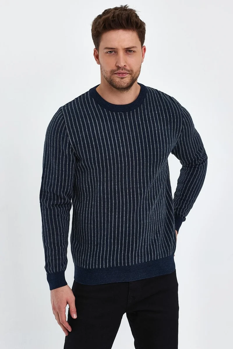Alexander Gardi Striped Navy Blue Regular Fit Sweater (E20-EZEE02)
