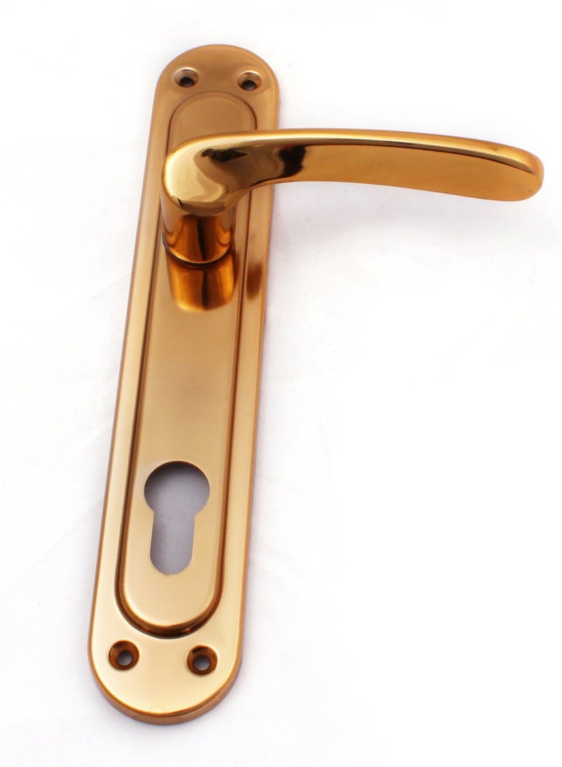 Siag Cylinder Door Handle - Image 2