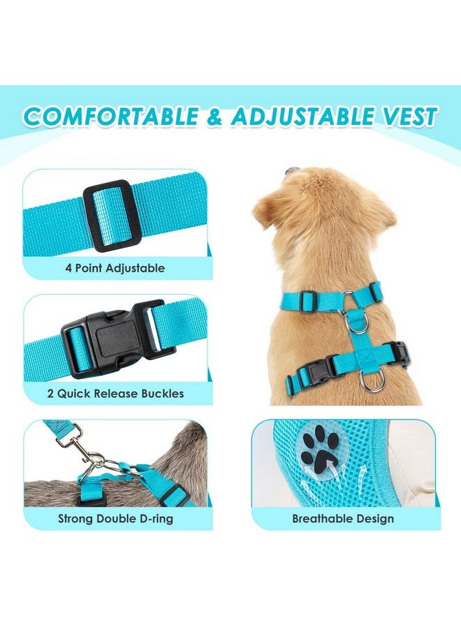 Lukovee Dog Seat Belt for Car, Adjustable Dog Car Harness for Large Medium Small Dogs, Soft Padded & Breathable Mesh Dog Seatbelt with Car Strap and Carabiner(Light Blue Double Clip,Small) - pzsku/ZBB00CA30EA5AAFF3B5B9Z/45/_/1736426821/ba946b42-accb-43bd-9978-4da21b0feb01