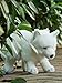 TAMMYFLYFLY Arctic Fox Plush Toy 11 inches 28cm Soft Snow Queen Fox Stuffed Animal Doll BRun - Image 2