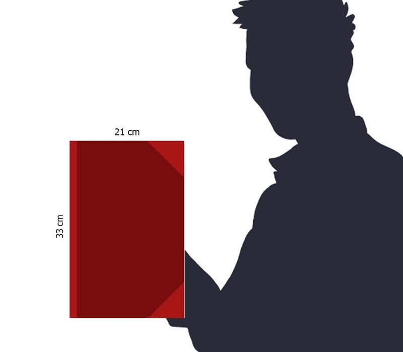 Trison Daily Attendance Time in & Out Register | 190 Pages | 21x33 cm | Hardbound | Quire 3 | Pack of 1 - Image 5