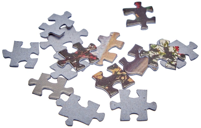 Educa - Yasaka Pagoda, Kyoto, Japan - 1000 Piece Jigsaw Puzzle - Puzzle Glue Included - Completed Image Measures 26.8" x 18.9" - Ages 14+ - Image 4