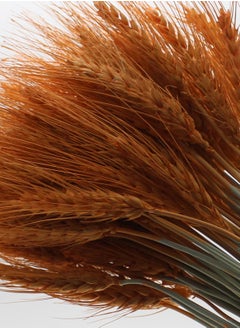 Generic Dry wheat for decoration  - Image 1