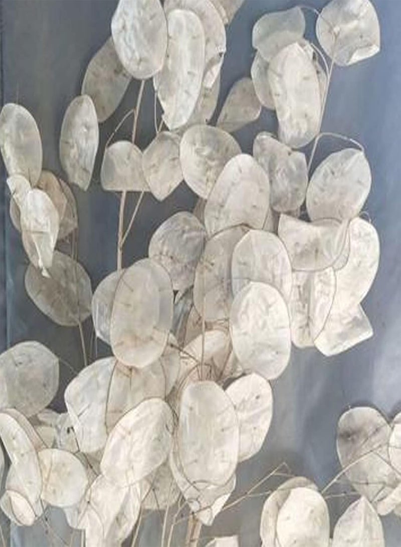 جي جوت 20 قطعة من بذور الزهور الفاخرة، بذور Lunaria Annua قابلة للنمو عالية الإنبات، شتلات مزهرة للحديقة الخلفية باللون الأبيض - Image 2