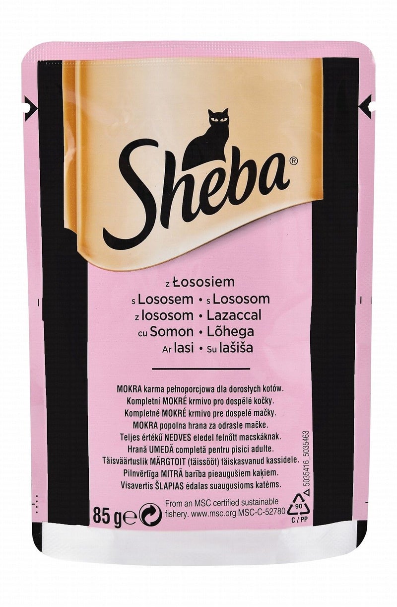 Sheba Wet Cat Food with Salmon for Adult Cats - 85 gr - Image 2