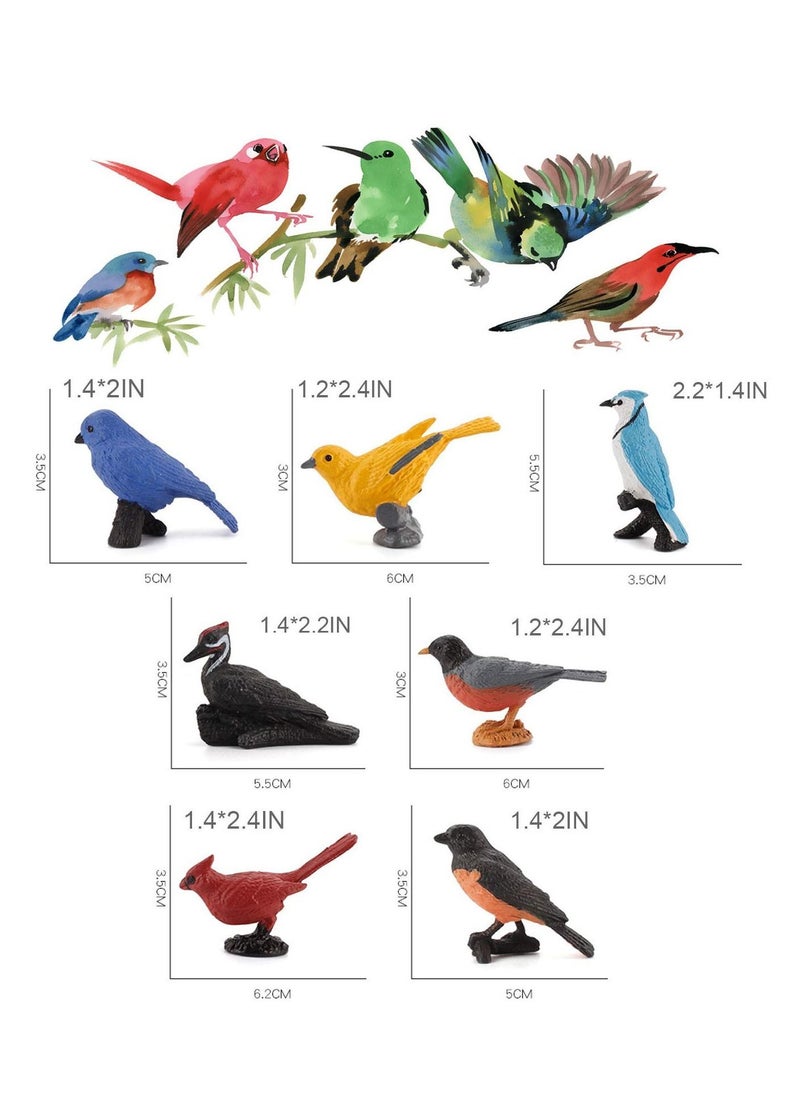 Y&D Simulated Bird Model, 7Pieces Realistic Birds Figurine Collection Playset Cake Toppers Gift for Kids Educational Toys  - Image 3