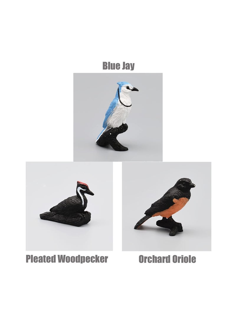 Y&D Simulated Bird Model, 7Pieces Realistic Birds Figurine Collection Playset Cake Toppers Gift for Kids Educational Toys  - Image 5