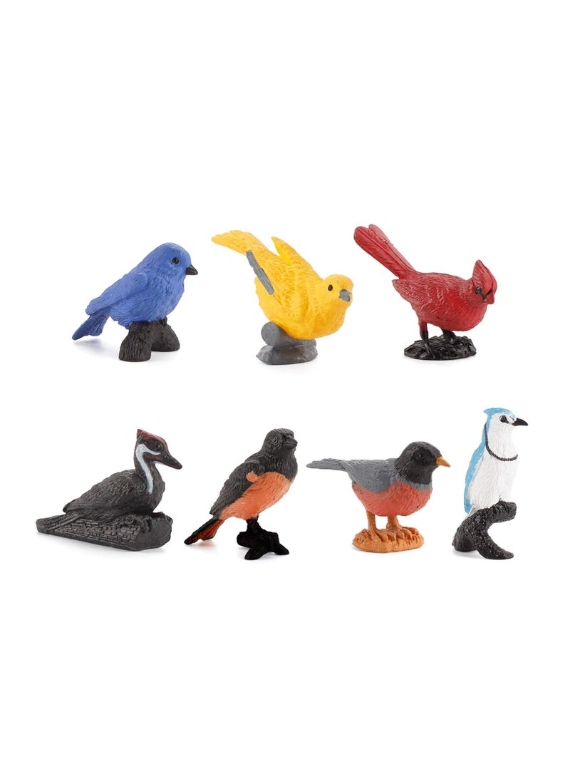 Y&D Simulated Bird Model, 7Pieces Realistic Birds Figurine Collection Playset Cake Toppers Gift for Kids Educational Toys  - Image 2