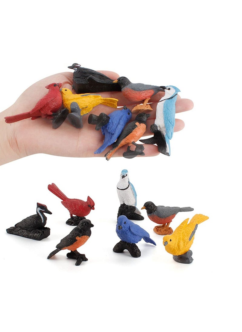 Y&D Simulated Bird Model, 7Pieces Realistic Birds Figurine Collection Playset Cake Toppers Gift for Kids Educational Toys  - Image 1