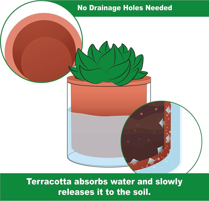 Phoenix Vine 4 Inch Self Watering Plants Pot, Design Terracotta Pot for Plants, Indoor Cylinder Terra Cotta Planter with Glass Vase, Set of 4, 51-A-E-4 - Image 4