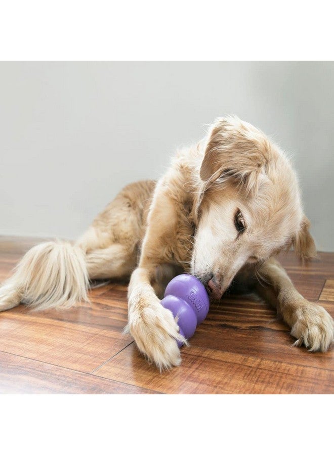 KONG Senior - Dog Toy with Gentle, Natural Rubber - Durable Dog Toy for Older Dogs - Use Treats with Stuffable Chew Toy - Treat Toy for Chewing & Fetching - for Medium Dogs - Image 2