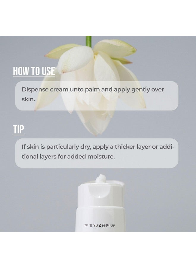 rovectin كريم ماء اللوتس المهدئ، مرطب خفيف الوزن للوجه للبشرة الدهنية والمختلطة، مستخلص ماء اللوتس بنسبة 75% لتنقية البشرة ومضاد للشيخوخة، منتج نباتي للعناية بالبشرة من كوريا (2.1 أونصة سائلة) [عبوة من قطعتين] - Image 4