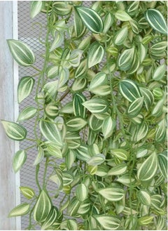 Kutis 1-Piece Artificial Hanging Ivy Leaves Green 110 cm  - Image 5