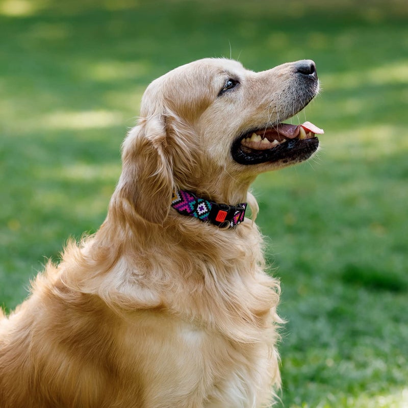 CollarDirect Nylon Dog Collar Aztec Geometric Pattern Tribal Magenta 18-26 inch - Image 3