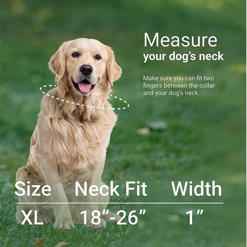 CollarDirect Nylon Dog Collar Aztec Geometric Pattern Tribal Magenta 18-26 inch - Image 4