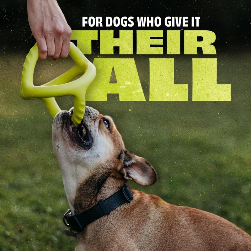 Benebone Natural Rubber Tug Interactive Dog Toy, Natural Rubber - Image 2