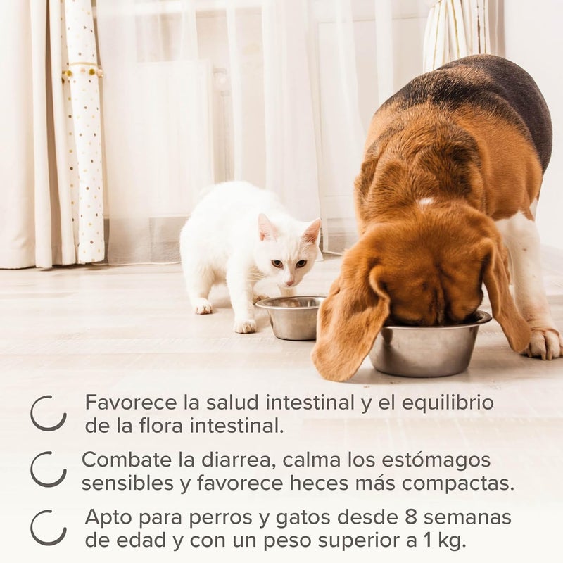 beaphar معجون بيفار إنتيستوبرو المضاد للإسهال للكلاب والقطط - Image 5