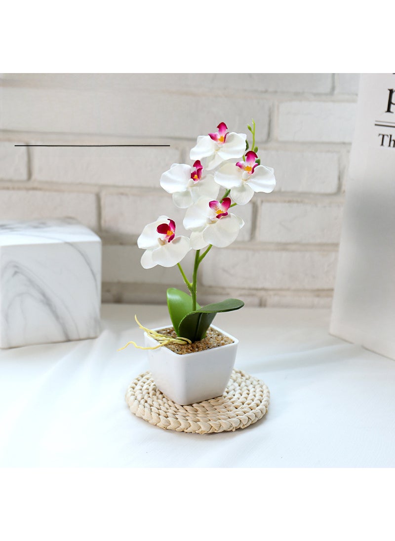 Generic - Artificial Butterfly Orchid Potted Plant JH2422 white (plastic basin) - Image 1
