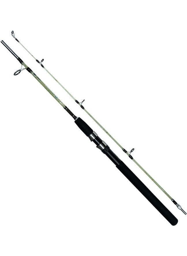 Rodmaster 165 cm Green Filled Fishing Rod - pzsku/ZBB109DA01BE5D10DE788Z/45/_/1740660669/5c1197e3-9038-4827-88cb-c822ff7e3831