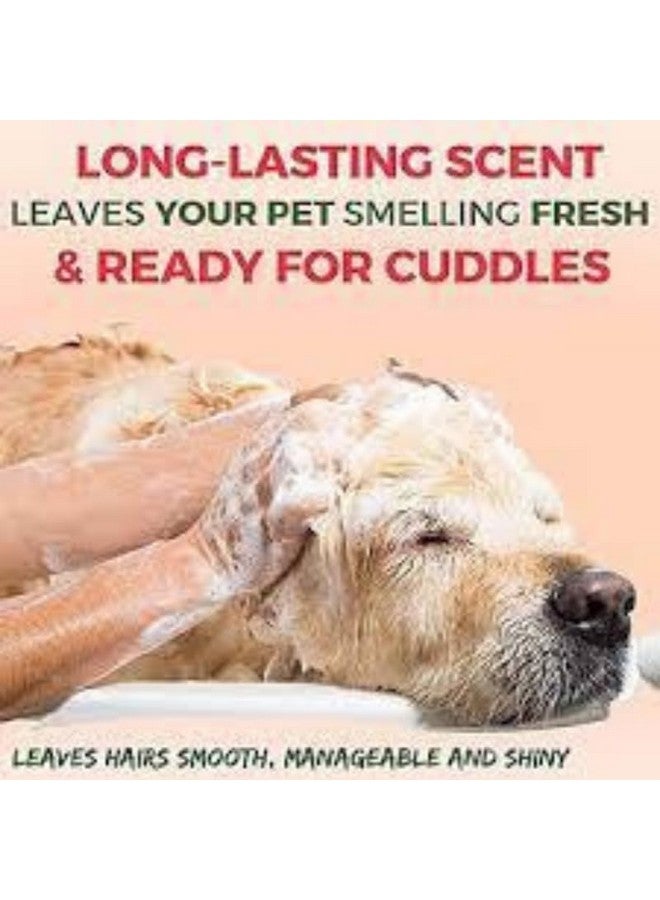 بت شامبو أوه ماي دوج الخالي من البارابين للحيوانات الأليفة للجراء والكلاب (التوت وجوز الهند 500 مل) (التوت وجوز الهند) - Image 5