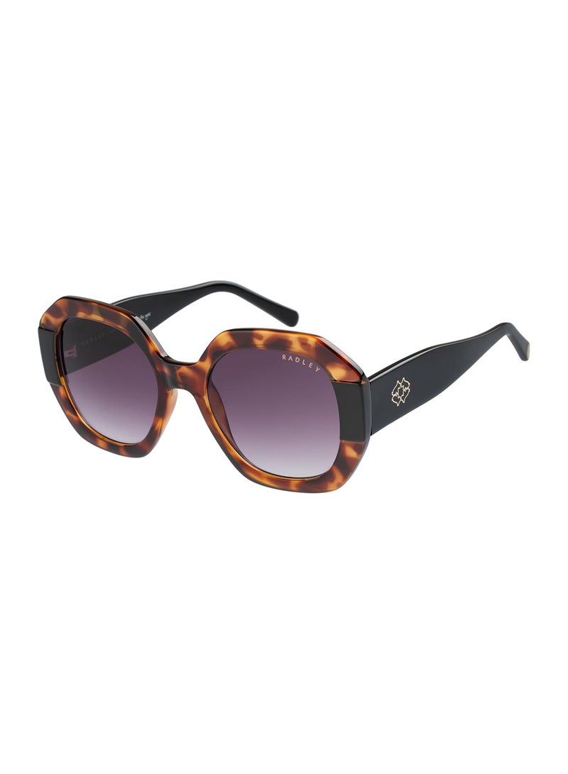 Radley نظارات شمسية نسائية عصرية بحجم كبير على شكل سداسي بني 53 مم - Image 1
