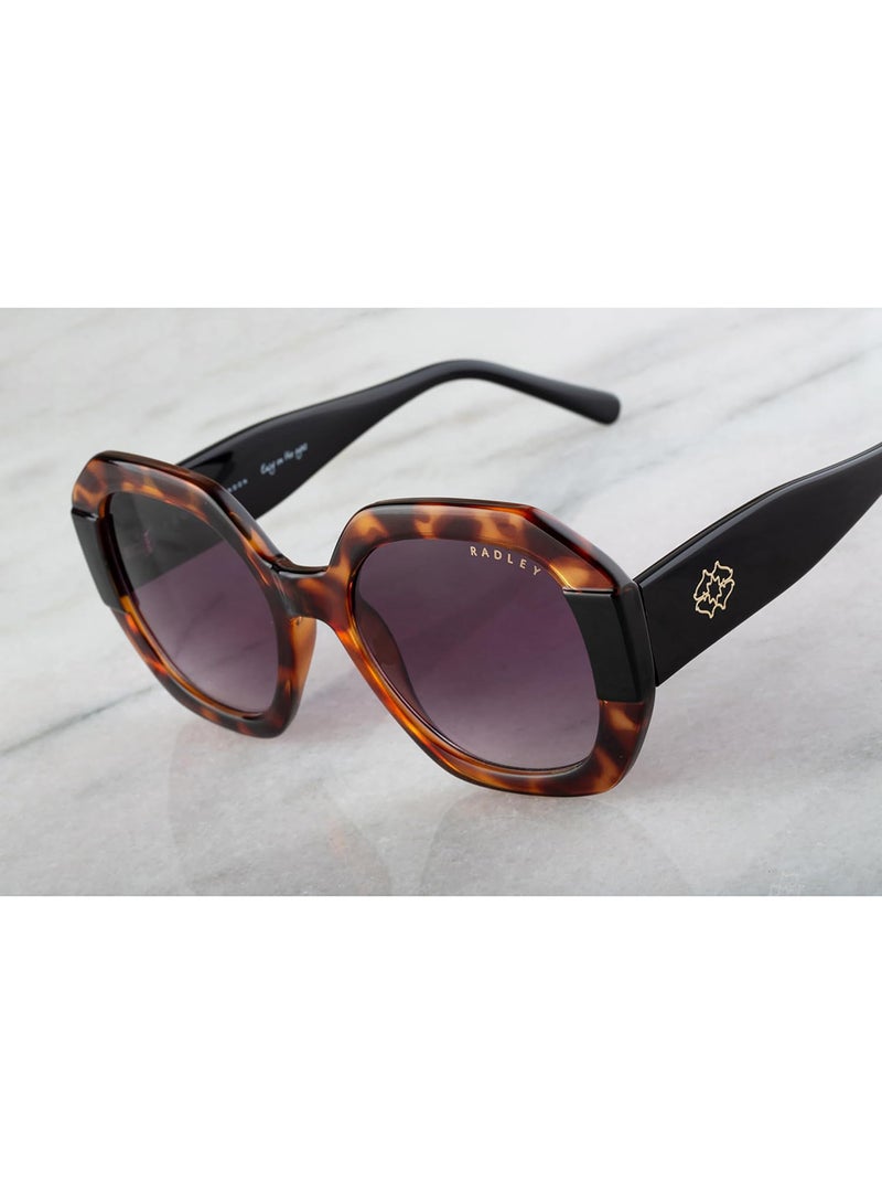 Radley نظارات شمسية نسائية عصرية بحجم كبير على شكل سداسي بني 53 مم - Image 4