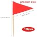 Qianyu 100 Pcs Solid Toothpick Flags Small Mini Plain Red Blank Triangle Stick Cupcake Toppers Flags Fruit Cheese Markers Labels for Wedding Party Buffet Appetizers DIY Decorations Red - Image 4