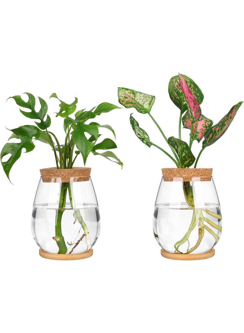 محطات انتشار النباتات 2 جهاز كمبيوتر شخصي ، طاولة سطح المكتب ، مع علبة خشبية وغطاء ، لنشر النباتات المائية مكتب جدول الديكور المنزلي - Image 1