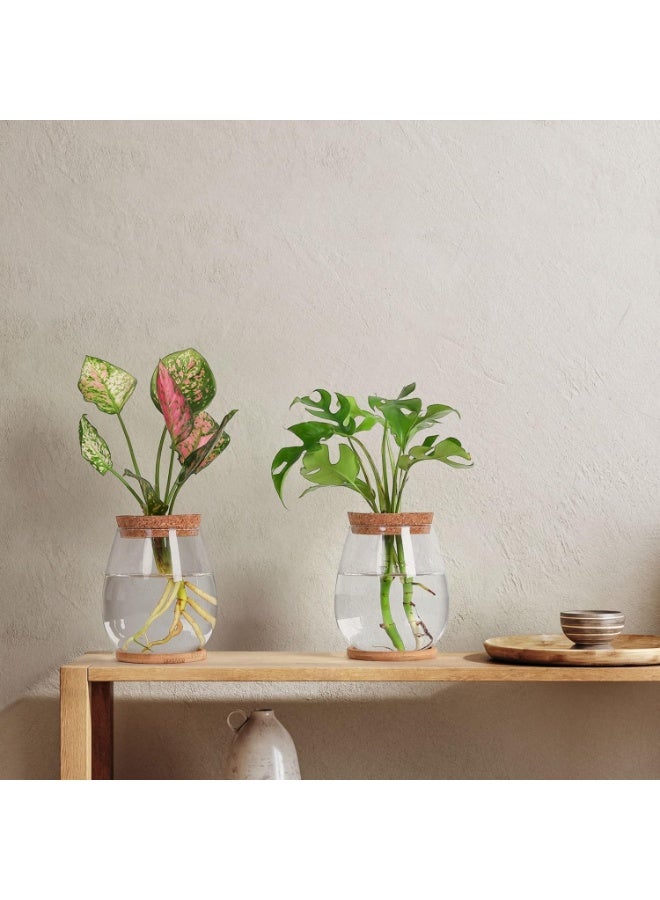 محطات انتشار النباتات 2 جهاز كمبيوتر شخصي ، طاولة سطح المكتب ، مع علبة خشبية وغطاء ، لنشر النباتات المائية مكتب جدول الديكور المنزلي - Image 3