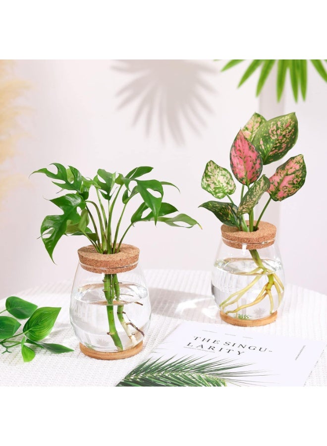 محطات انتشار النباتات 2 جهاز كمبيوتر شخصي ، طاولة سطح المكتب ، مع علبة خشبية وغطاء ، لنشر النباتات المائية مكتب جدول الديكور المنزلي - Image 4