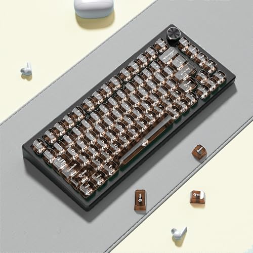dagaladoo Coffee Clear keycaps for Mechanical Keyboard,Transparent MDA keycaps 60 75 100 Percent,Ceramic Jelly Key caps Set,Shine Through Key caps for Mx Switches Mechanical Keyboard(115key) - Image 4