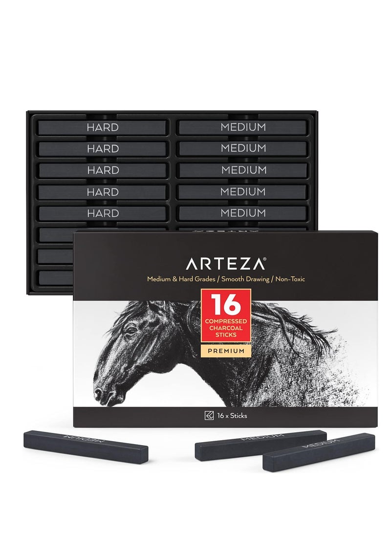 Compressed Charcoal, Medium & Hard Grade - Set of 16