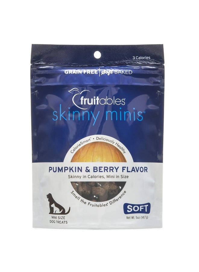 Fruitables - Fruitables: Skinny Minis Pumpkin and Berry Soft & Chewy Dog Treats, 5 oz - Image 1