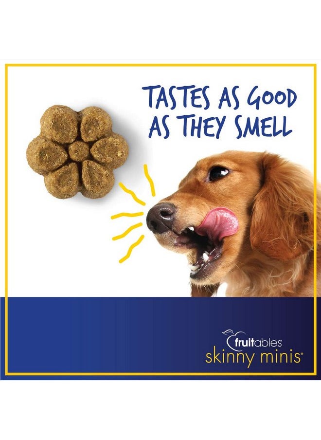 Fruitables - Fruitables: Skinny Minis Pumpkin and Berry Soft & Chewy Dog Treats, 5 oz - Image 1