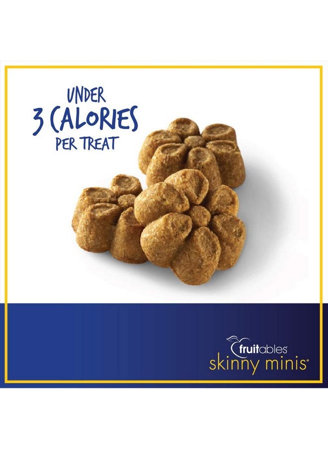 Fruitables - Fruitables: Skinny Minis Pumpkin and Berry Soft & Chewy Dog Treats, 5 oz - Image 1
