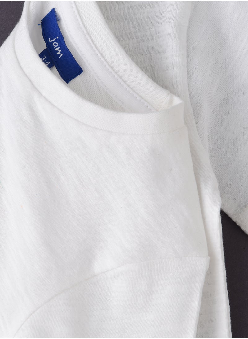 JAM Playful Prints & Comfy Cotton: Boys' Short-Sleeve Tees for Spring & Summer  - Image 4