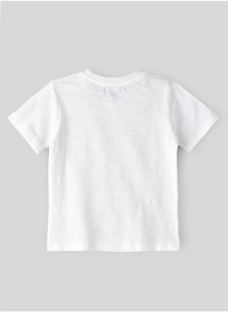 JAM Playful Prints & Comfy Cotton: Boys' Short-Sleeve Tees for Spring & Summer  - Image 2