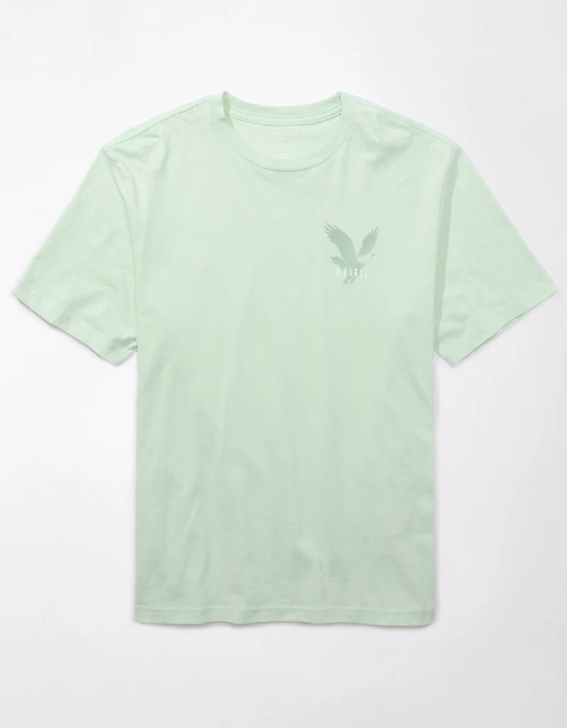 American Eagle AE Logo Graphic T-Shirt