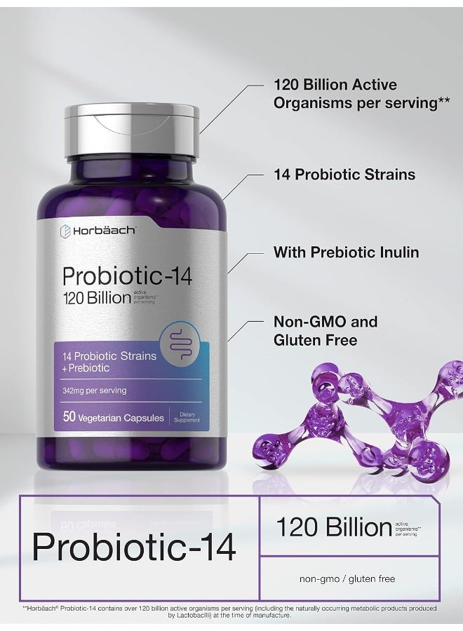 Horbäach Probiotics 120 Billion CFU | with Prebiotics for Women & Men | 50 Capsules | Vegetarian, Non-GMO & Gluten Free Supplement | by Horbaach - Image 3