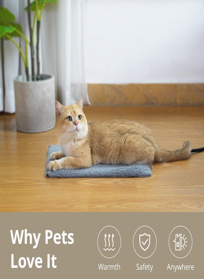 بايو بت أكتيف بديل حليب القطط Bio Pet Active - مسحوق حليب سهل الهضم مع فيتامينات ومعادن وتورين للقطط الصغيرة وأمهاتها، 7.05 أونصة - Image 4