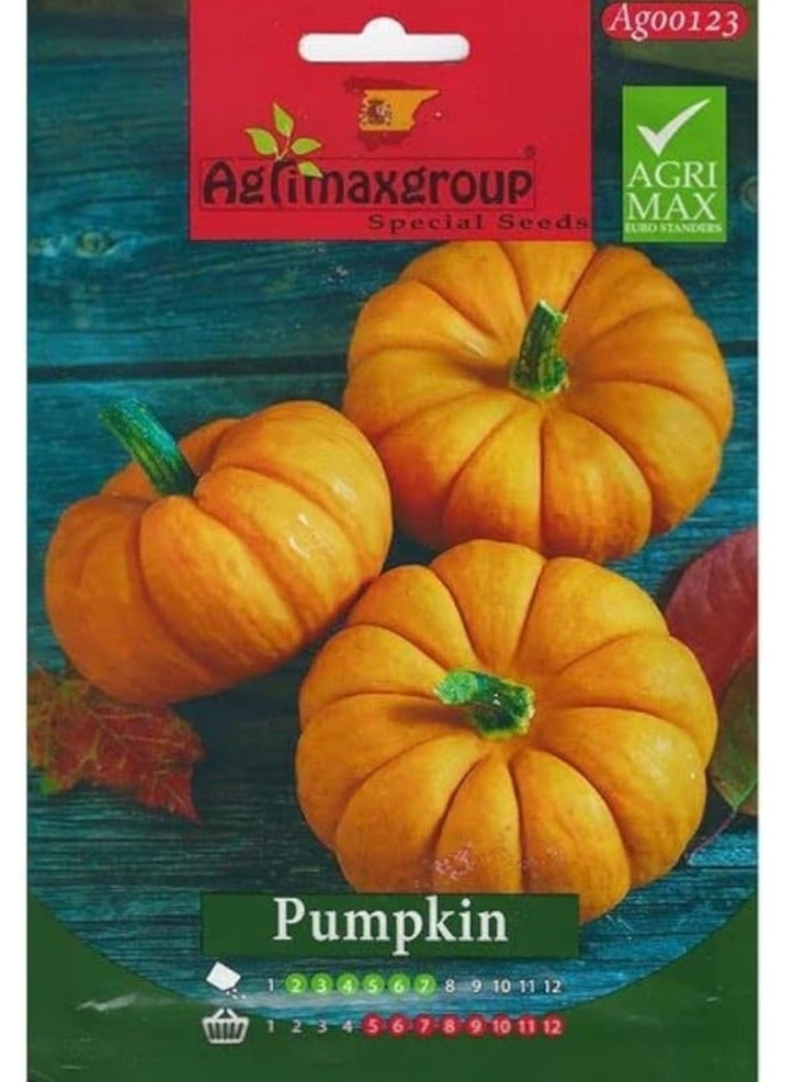 أجريماكس بذور اليقطين عالية الجودة من Agrimaxgroup® - Image 1