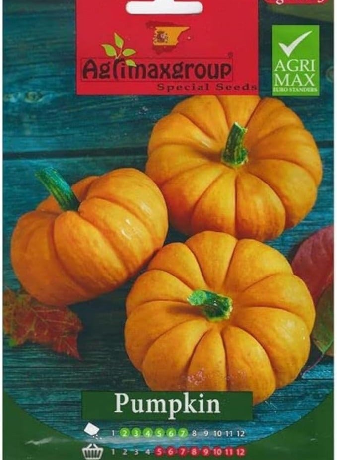 أجريماكس بذور اليقطين عالية الجودة من Agrimaxgroup® - Image 2