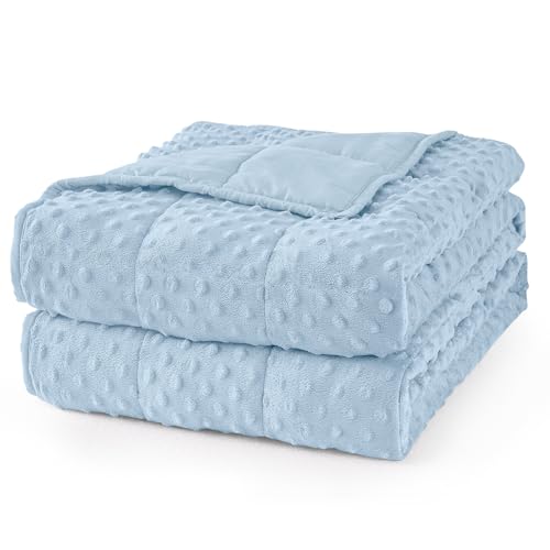 Mr. Sandman Weighted Blanket for Adults Queen Size 15 lbs, Soft Cooling Heavy Minky Blanket for Sleep, Washable Throw Blanket with Glass Beads, 60 x 80 Inches, Light Blue - Image 1