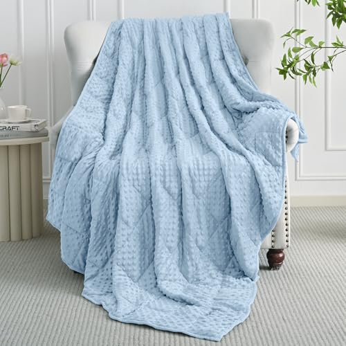 Mr. Sandman Weighted Blanket for Adults Queen Size 15 lbs, Soft Cooling Heavy Minky Blanket for Sleep, Washable Throw Blanket with Glass Beads, 60 x 80 Inches, Light Blue - Image 2